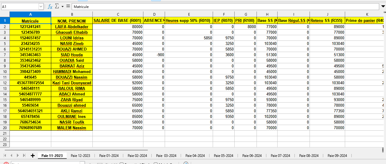 Historique Paie Excel